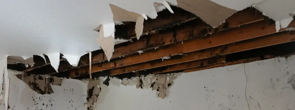 A fire and water damaged ceiling opened up to the joists before electrical repair